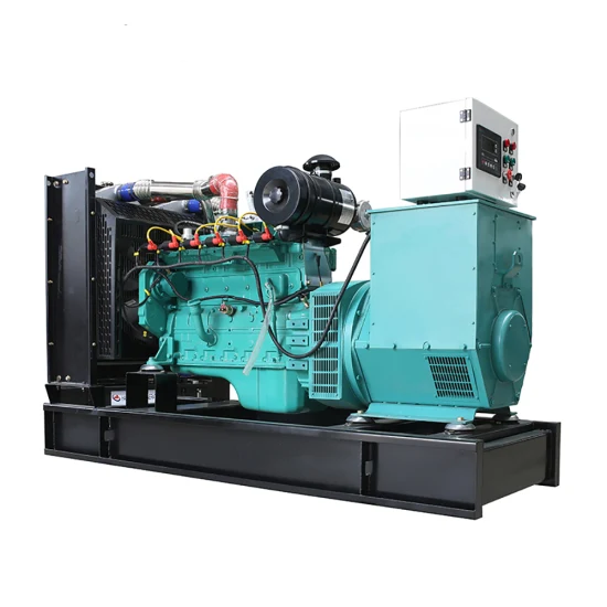 Factory Price for Sale Small Biogas Generator 8kw 10kw 15kw 20kw Generator Set